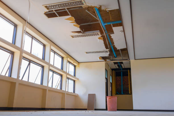 Best Flood damage cleanup  in Columbus, NE
