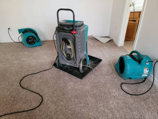 Best Mold removal after water damage  in Columbus, NE
