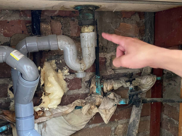 Best Water damage restoration near me  in Columbus, NE