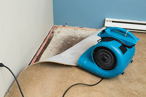 Best Local water damage restoration  in Columbus, NE